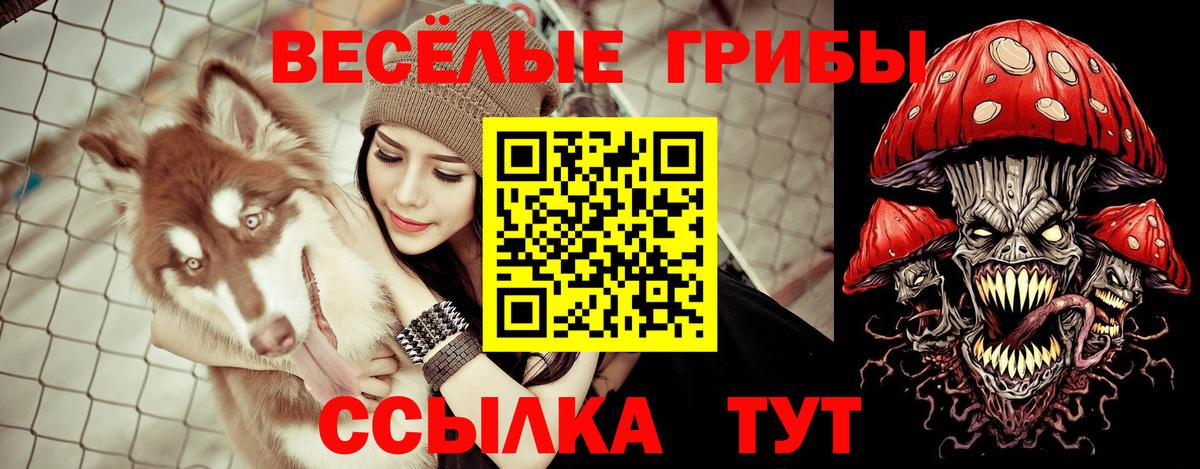 Галлюциногенные грибы мицелий Губкин