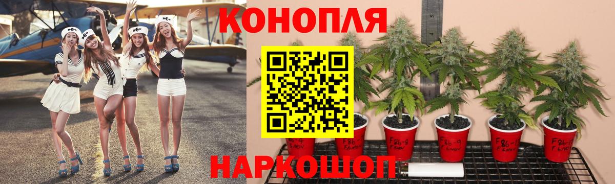 Губкин  Шишки марихуана гибрид  МАРИХУАНА сатива  Вход с VPN 